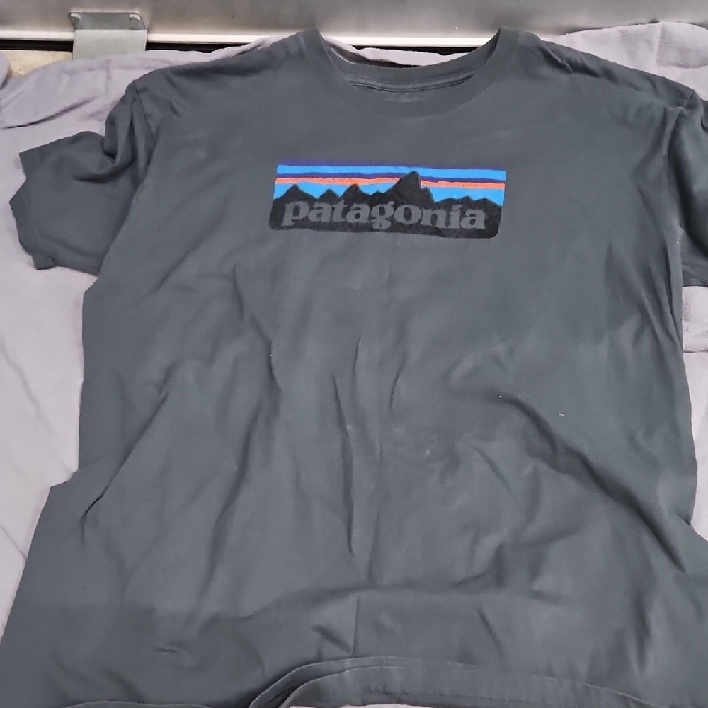 Patagonia Shirt